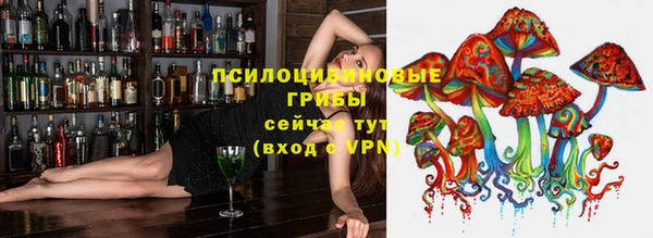 гидра Пересвет