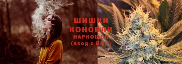 дживик Сосновоборск
