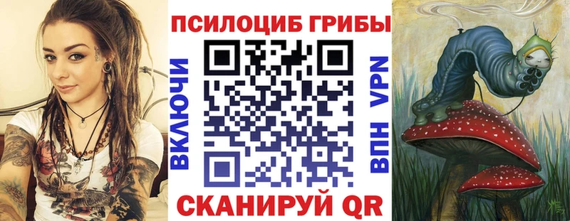 Галлюциногенные грибы мицелий  гидра вход  Спасск-Дальний  где купить наркоту 