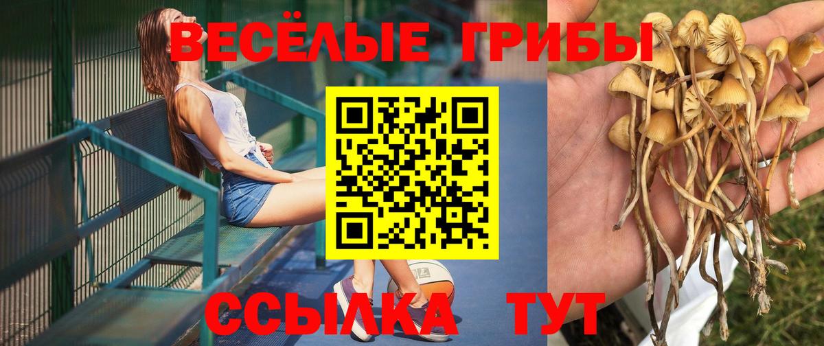 цены наркотик  Псилоцибиновые грибы прущие грибы  Вход с VPN  Спасск-Дальний 