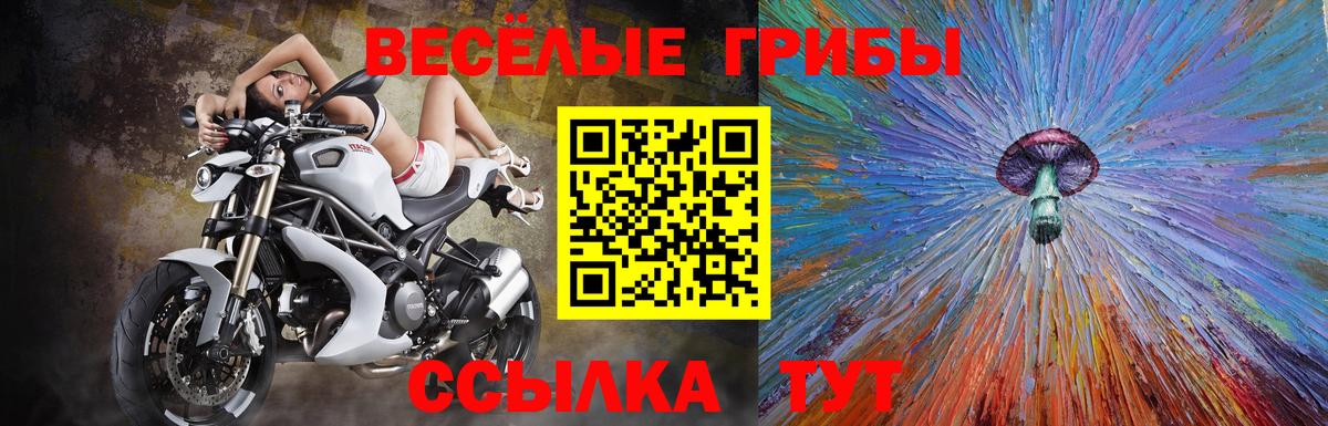 Псилоцибиновые грибы Cubensis Спасск-Дальний