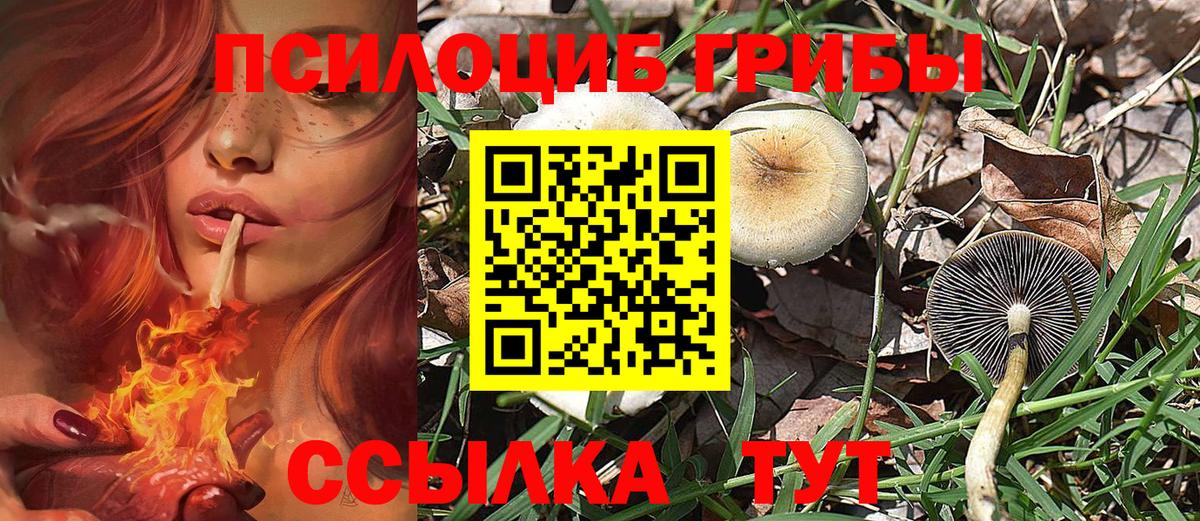Галлюциногенные грибы Cubensis  Спасск-Дальний  Псилоцибиновые грибы ЛСД 
